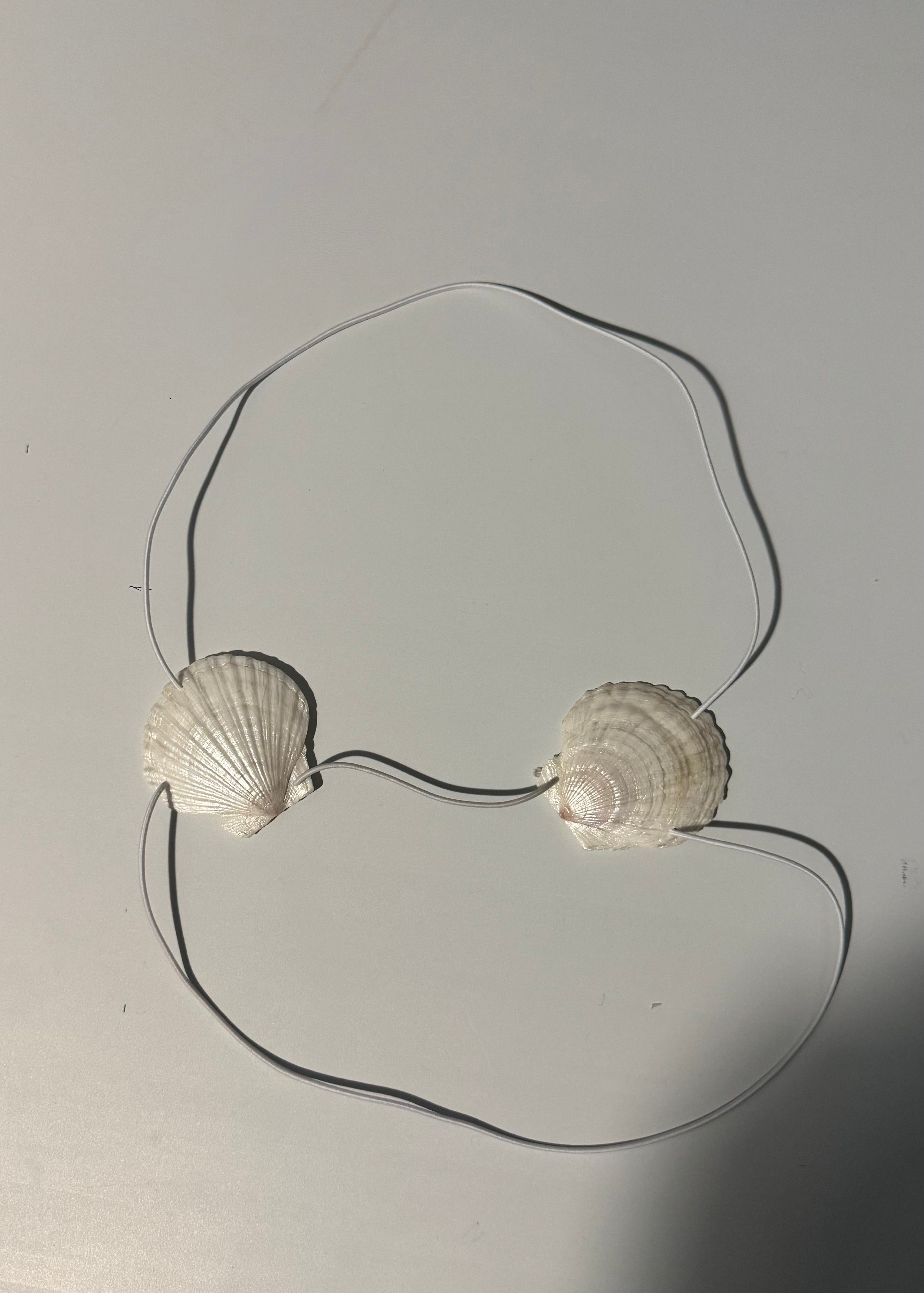SCALLORA Classic