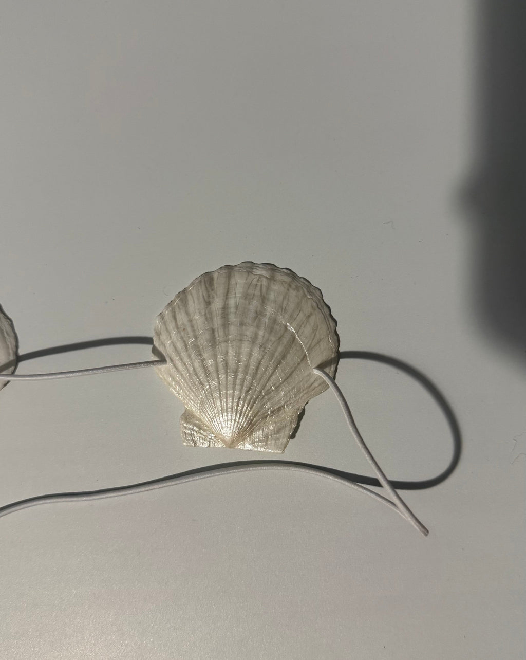 SCALLORA Strapless