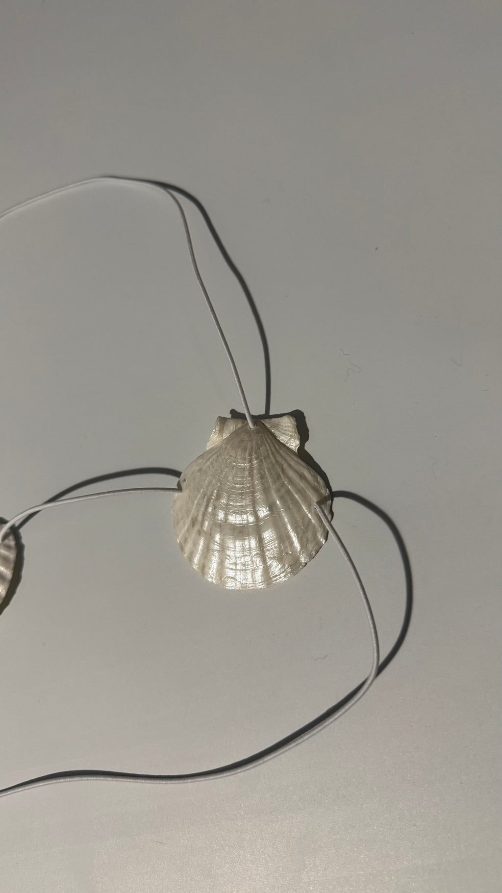 SCALLORA Topsy-Turvy