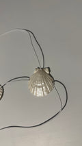 SCALLORA Topsy-Turvy