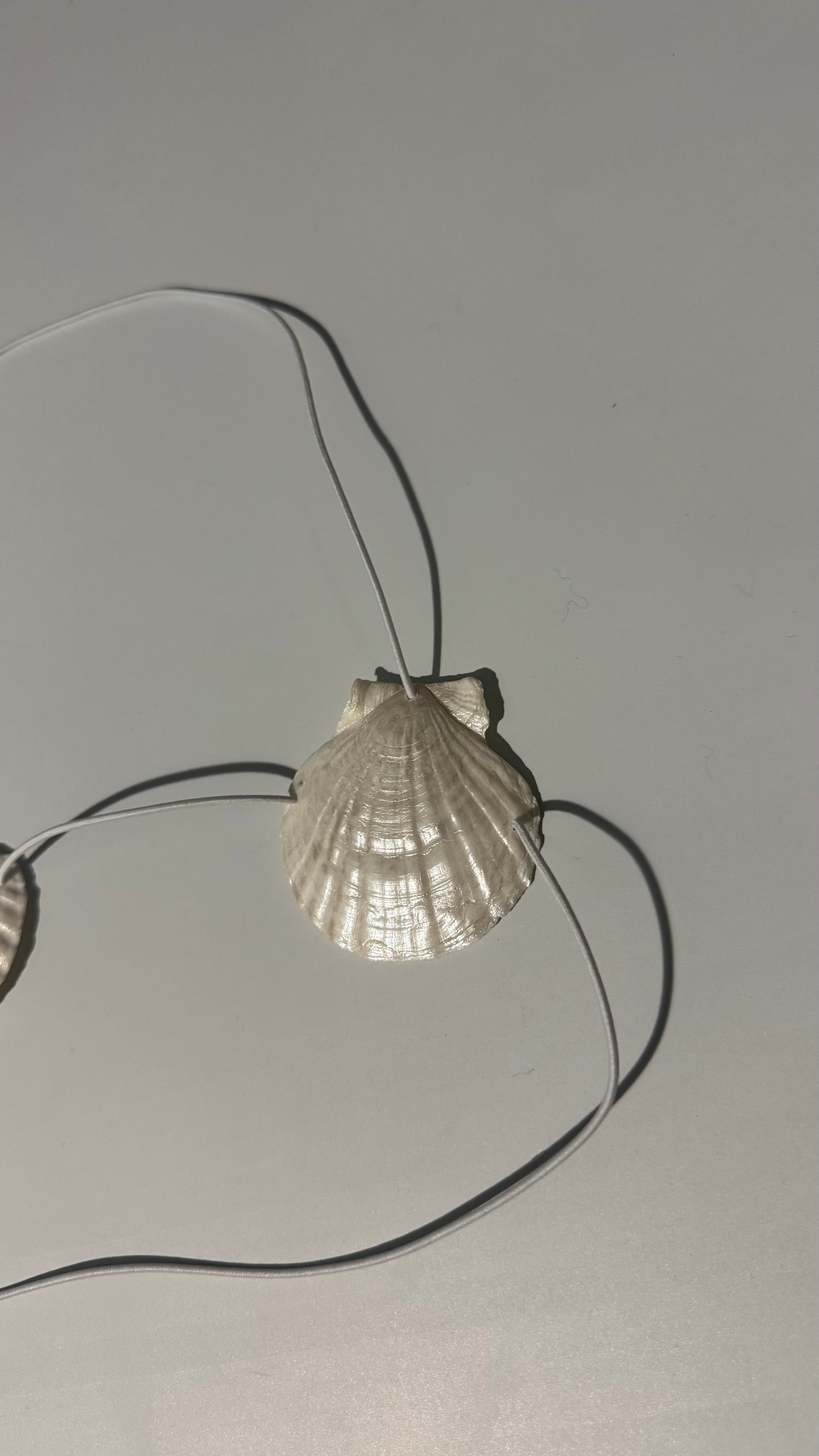 SCALLORA Topsy-Turvy